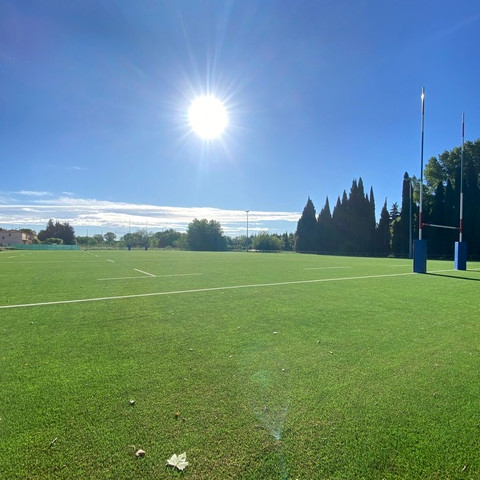 terrain de rugby ensoleillé